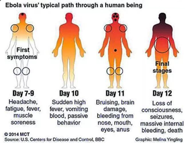 ebola overzichtkaart