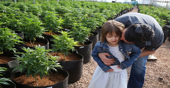6-year-old-cured-with-cannabis