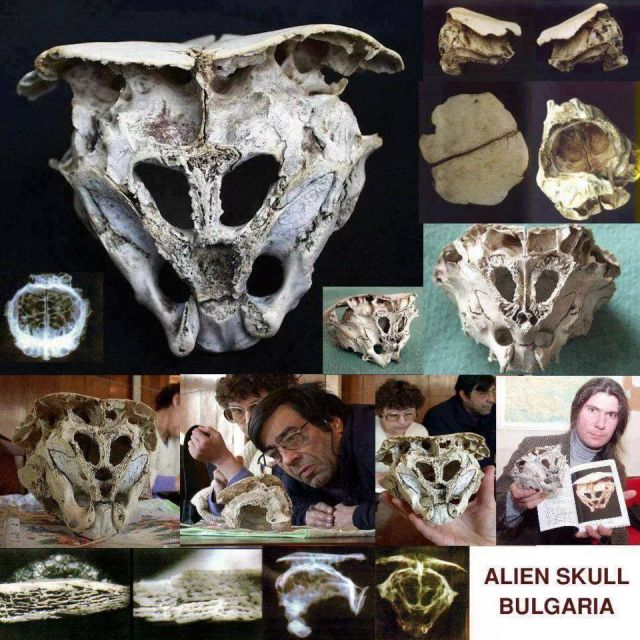 alien-skull1