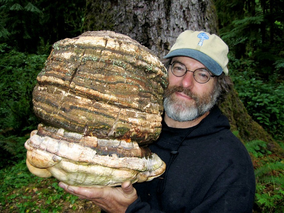 paul-stamets-mushrooms
