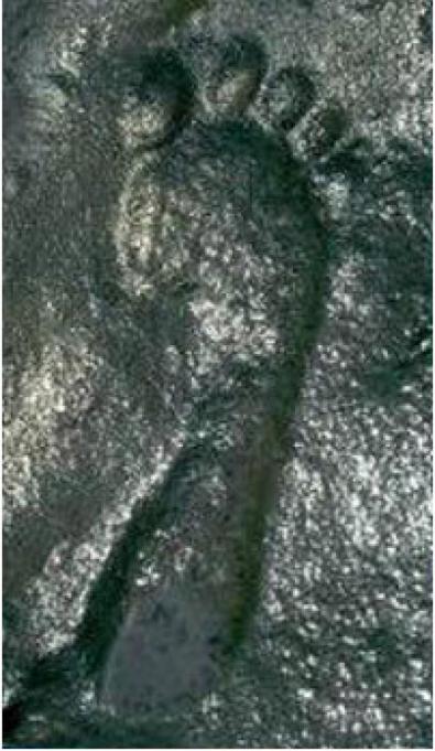 ancient-footprint