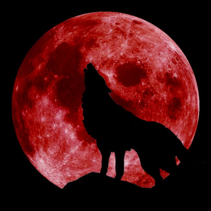 blood_moon_wolf_2_by_goldenwolf95-d6p3mrs
